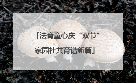 法育童心庆“双节” 家园社共育谱新篇
