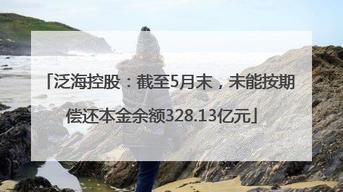 泛海控股：截至5月末，未能按期偿还本金余额328.13亿元