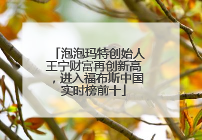 泡泡玛特创始人王宁财富再创新高，进入福布斯中国实时榜前十
