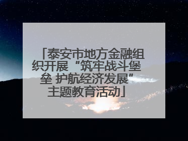 泰安市地方金融组织开展“筑牢战斗堡垒 护航经济发展”主题教育活动