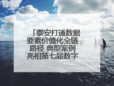 泰安打通数据要素价值化全链路径 典型案例亮相第七届数字中国建设峰会