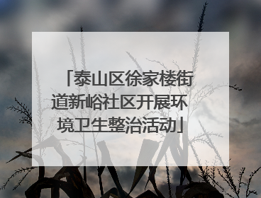 泰山区徐家楼街道新峪社区开展环境卫生整治活动