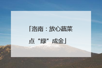洛南：放心蔬菜点“绿”成金