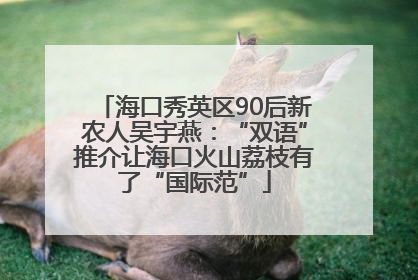 海口秀英区90后新农人吴宇燕：“双语”推介让海口火山荔枝有了“国际范”