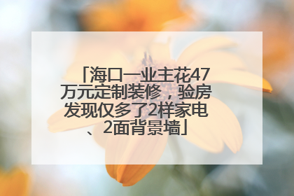 海口一业主花47万元定制装修，验房发现仅多了2样家电、2面背景墙