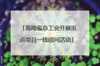 海南省总工会开展重点项目一线慰问活动