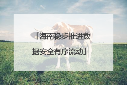 海南稳步推进数据安全有序流动
