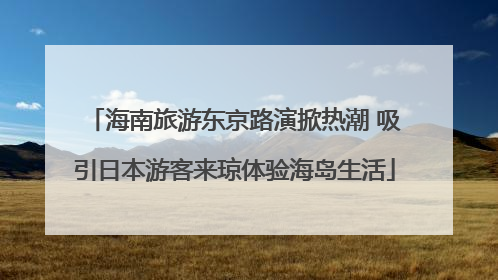 海南旅游东京路演掀热潮 吸引日本游客来琼体验海岛生活