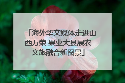 海外华文媒体走进山西万荣 果业大县展农文旅融合新图景