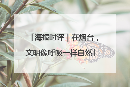 海报时评｜在烟台，文明像呼吸一样自然