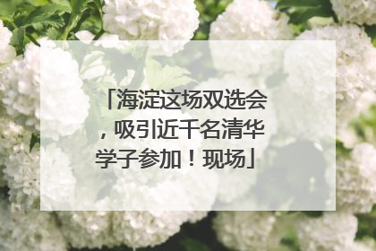 海淀这场双选会，吸引近千名清华学子参加！现场
