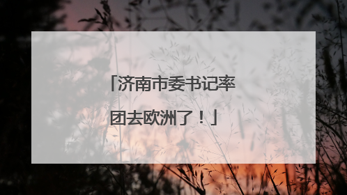 济南市委书记率团去欧洲了！