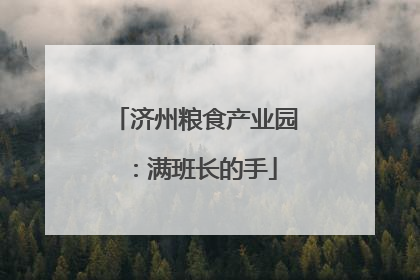 济州粮食产业园：满班长的手