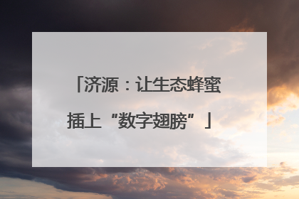 济源：让生态蜂蜜插上“数字翅膀”