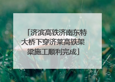 济滨高铁济南东特大桥下穿济莱高铁架梁施工顺利完成