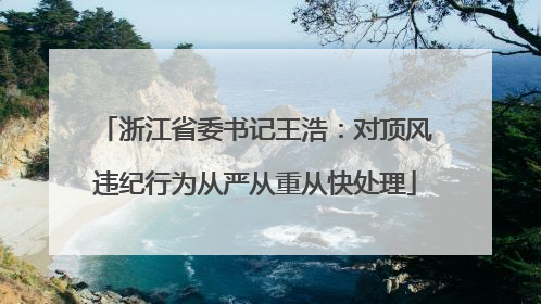 浙江省委书记王浩：对顶风违纪行为从严从重从快处理