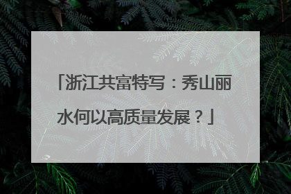 浙江共富特写：秀山丽水何以高质量发展？