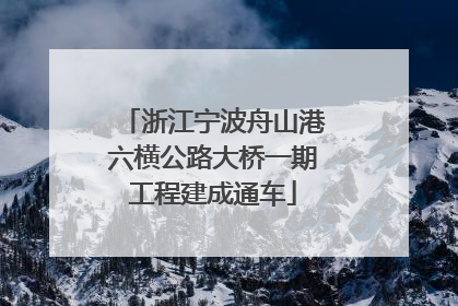 浙江宁波舟山港六横公路大桥一期工程建成通车