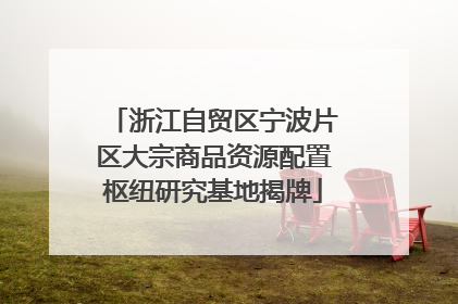 浙江自贸区宁波片区大宗商品资源配置枢纽研究基地揭牌