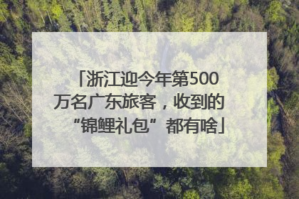 浙江迎今年第500万名广东旅客，收到的“锦鲤礼包”都有啥