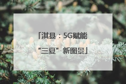 淇县：5G赋能“三夏”新图景