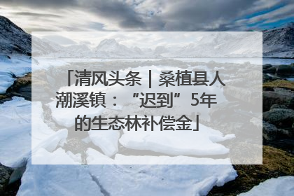 清风头条｜桑植县人潮溪镇：“迟到”5年的生态林补偿金