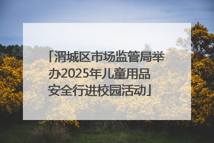 渭城区市场监管局举办2025年儿童用品安全行进校园活动
