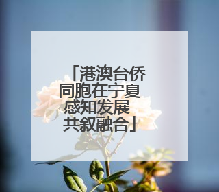港澳台侨同胞在宁夏感知发展 共叙融合