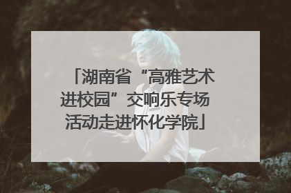 湖南省“高雅艺术进校园”交响乐专场活动走进怀化学院
