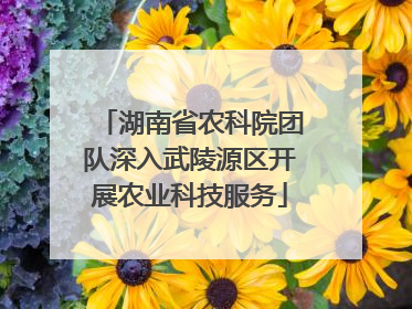 湖南省农科院团队深入武陵源区开展农业科技服务