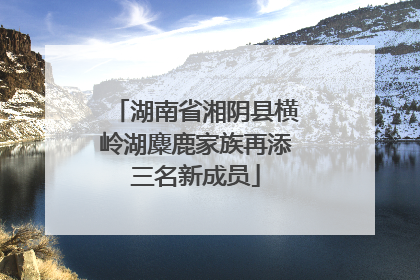 湖南省湘阴县横岭湖麋鹿家族再添三名新成员
