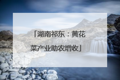 湖南祁东：黄花菜产业助农增收