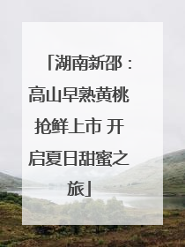 湖南新邵：高山早熟黄桃抢鲜上市 开启夏日甜蜜之旅