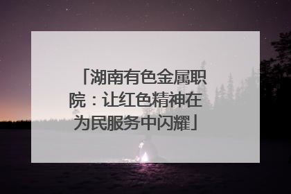 湖南有色金属职院：让红色精神在为民服务中闪耀