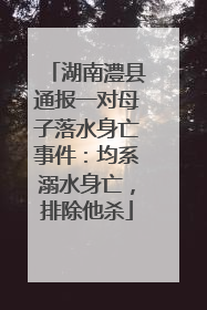 湖南澧县通报一对母子落水身亡事件：均系溺水身亡，排除他杀