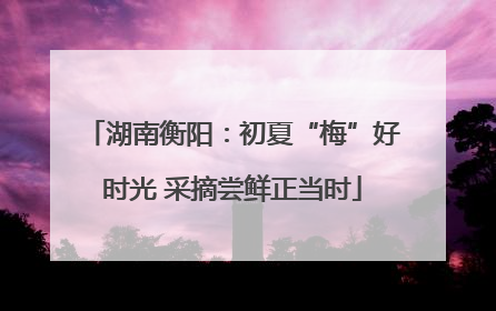 湖南衡阳：初夏“梅”好时光 采摘尝鲜正当时