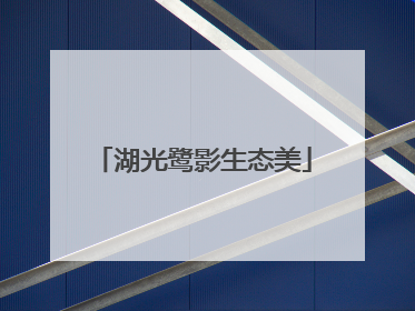 湖光鹭影生态美