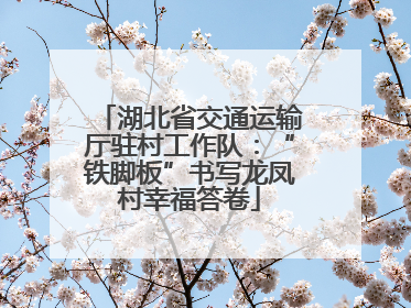 湖北省交通运输厅驻村工作队：“铁脚板”书写龙凤村幸福答卷