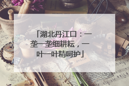 湖北丹江口：一垄一垄细耕耘，一叶一叶精呵护