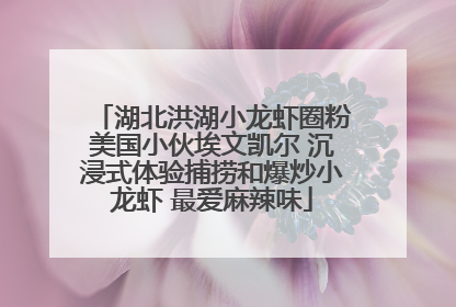 湖北洪湖小龙虾圈粉美国小伙埃文凯尔 沉浸式体验捕捞和爆炒小龙虾 最爱麻辣味