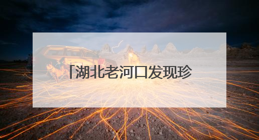 湖北老河口发现珍稀鸟类蓝喉蜂虎