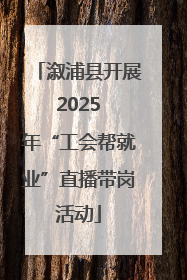 溆浦县开展 2025 年“工会帮就业”直播带岗活动