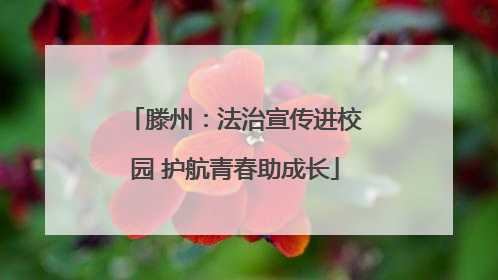 滕州：法治宣传进校园 护航青春助成长