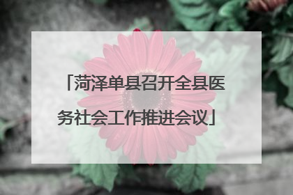 菏泽单县召开全县医务社会工作推进会议