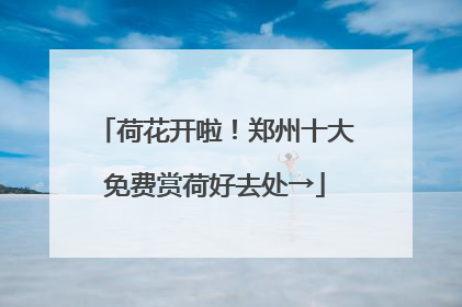 荷花开啦！郑州十大免费赏荷好去处→