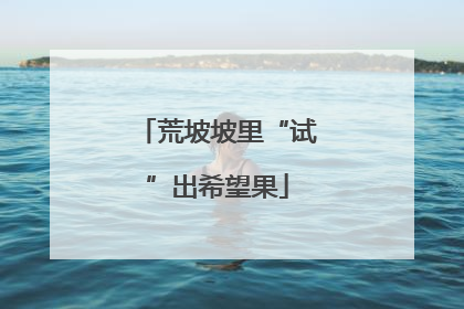 荒坡坡里“试”出希望果