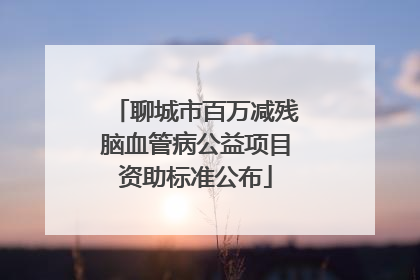 聊城市百万减残脑血管病公益项目资助标准公布