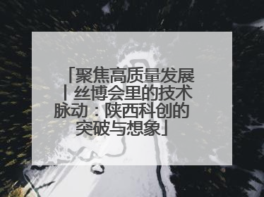 聚焦高质量发展丨丝博会里的技术脉动：陕西科创的突破与想象