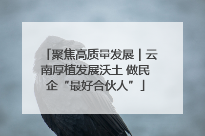 聚焦高质量发展｜云南厚植发展沃土 做民企“最好合伙人”