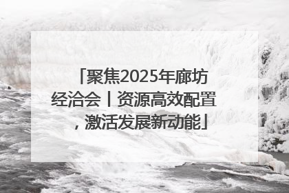 聚焦2025年廊坊经洽会丨资源高效配置，激活发展新动能